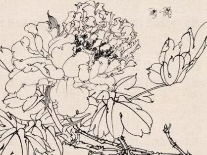 How to Conduct Line Drawing Sketching of Fine Brush Flower-and-Bird Paintings
