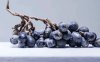 Did a Bunch of 1,000-Year-Old Grapes Just Rewrite History?