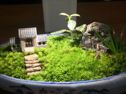 A Step-by-Step Guide to Crafting and Caring for Micro-landscapes