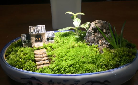 A Step-by-Step Guide to Crafting and Caring for Micro-landscapes