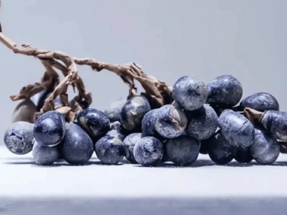 Did a Bunch of 1,000-Year-Old Grapes Just Rewrite History?
