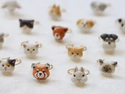 DIY Pet Craft Championship: Vote for Cutest Handmade Buddy!