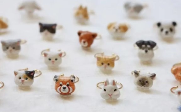 DIY Pet Craft Championship: Vote for Cutest Handmade Buddy!