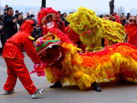 Why the Lion Reigns in She Huo Festival
