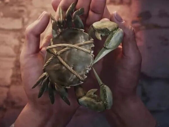 Sword of Coming 2: Old Scholar’s Tearful Secret